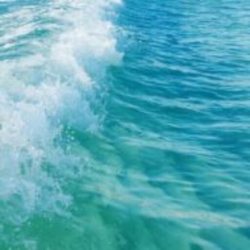 Talent Coach, la energia de una ola. Programas de coaching del talento — Matilde Alonso