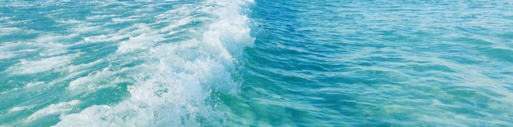 Coaching del talento. Libera el poder de tu talento.